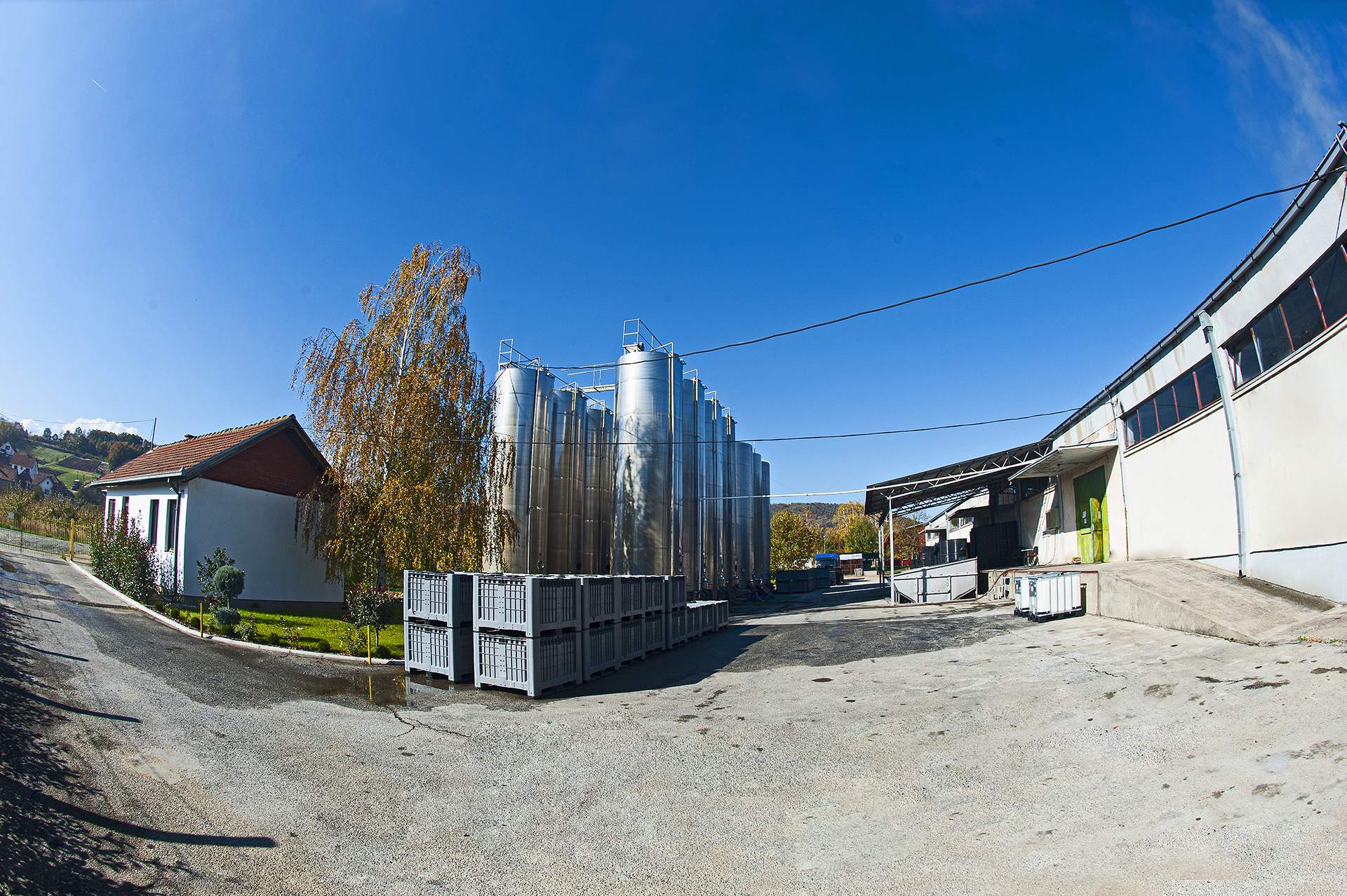 Image 10