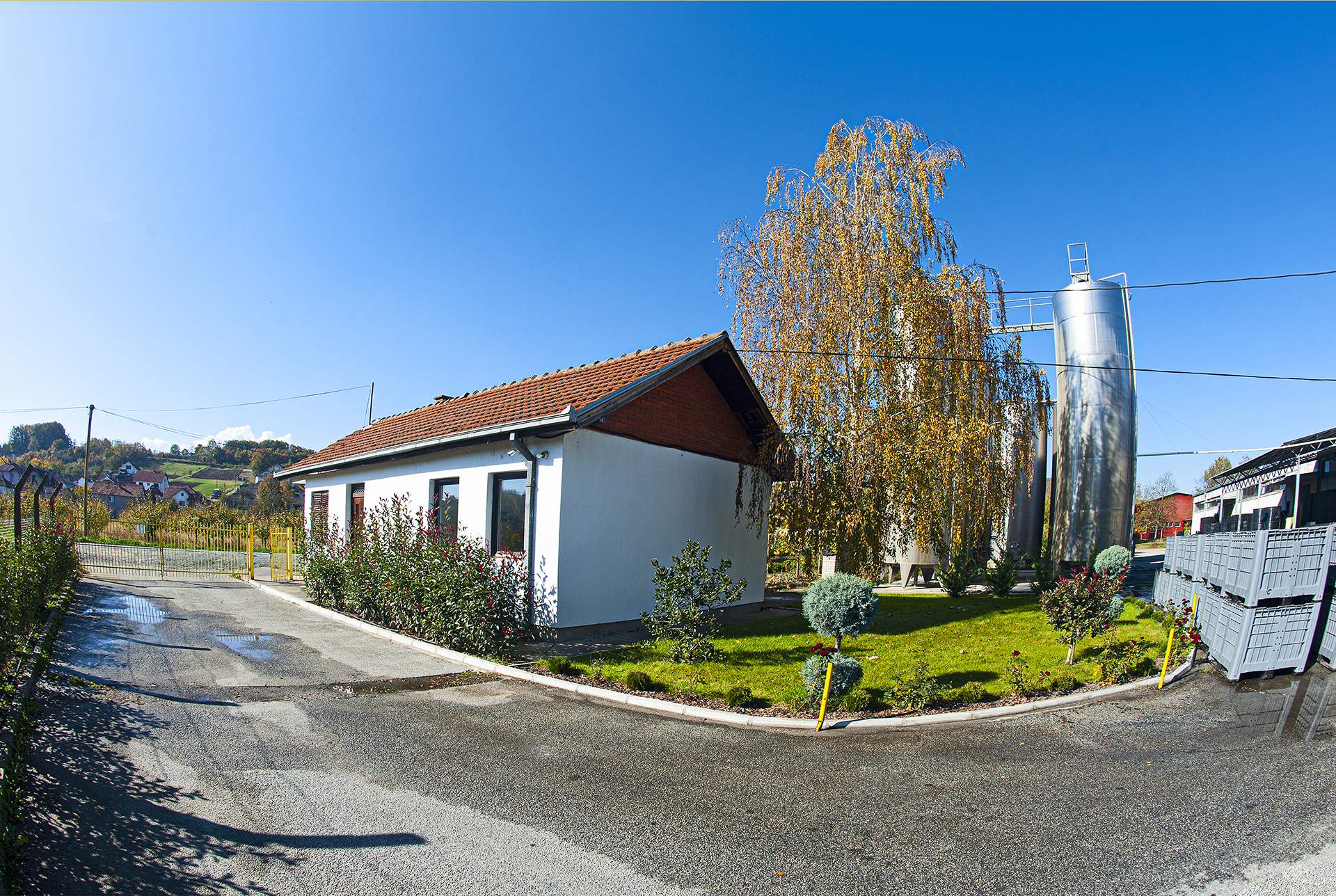 Image 11