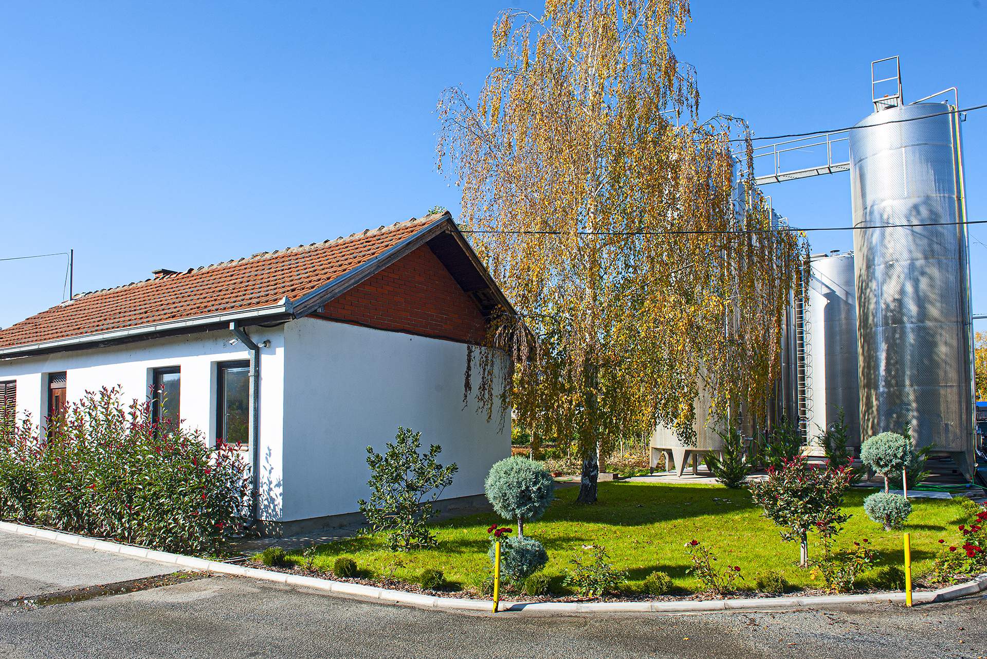 Image 12